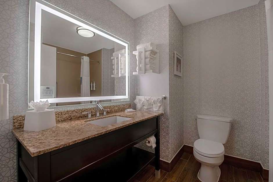 Hampton Inn By Hilton & Suites Harvey