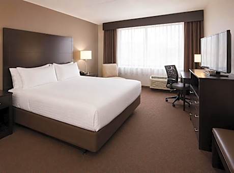 Standard King Room with Sofa Bed