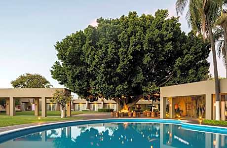 Camino Real Guadalajara