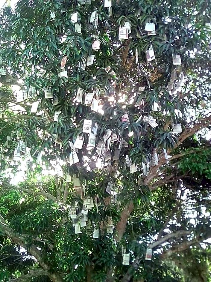 Balai Mariacaria Pension House