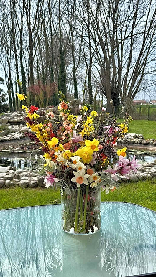 Pool & Garden Villa Lelia