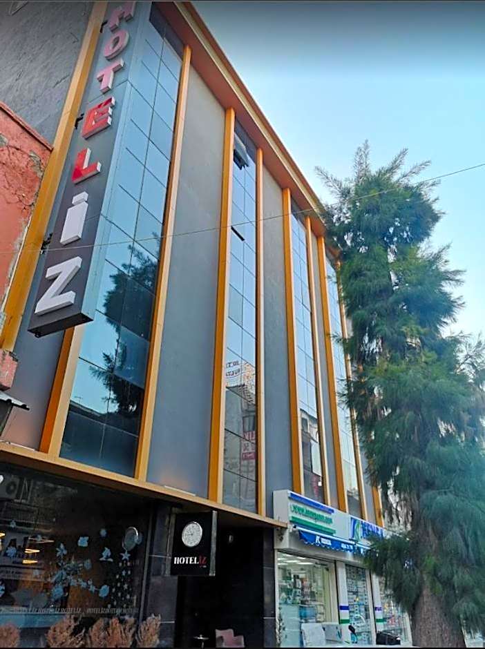 Hotel Iz