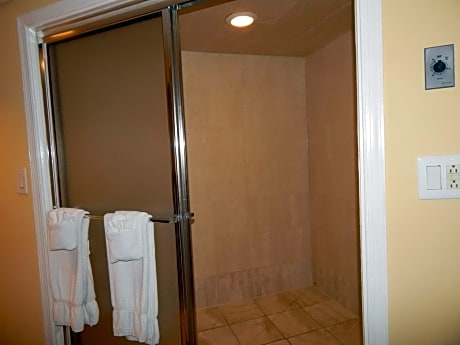 1 King Bed Studio Non-Smoking