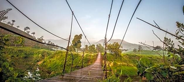 Grassroots Wayanad, Valley-view Tents