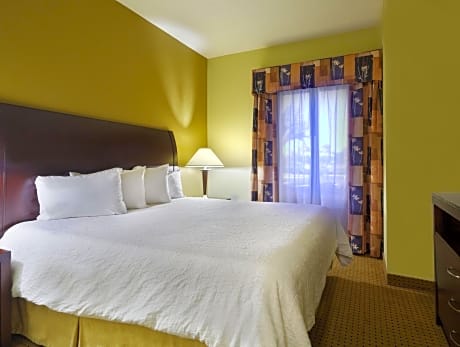 1 King Bed 1 Bedroom Suite