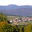 Hotel-Gasthof Zum Oberen Wirt