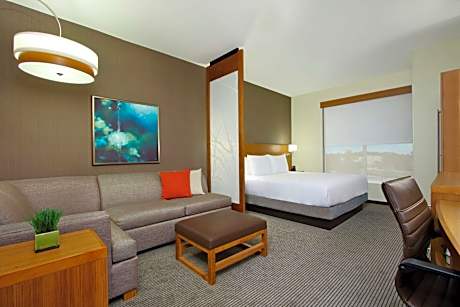 King Room with Sofa Bed
