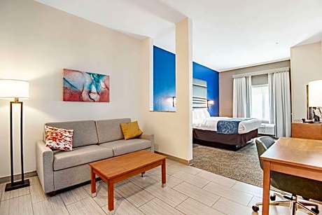 King Suite with Mobility Accessible - Accessible/Non-Smoking