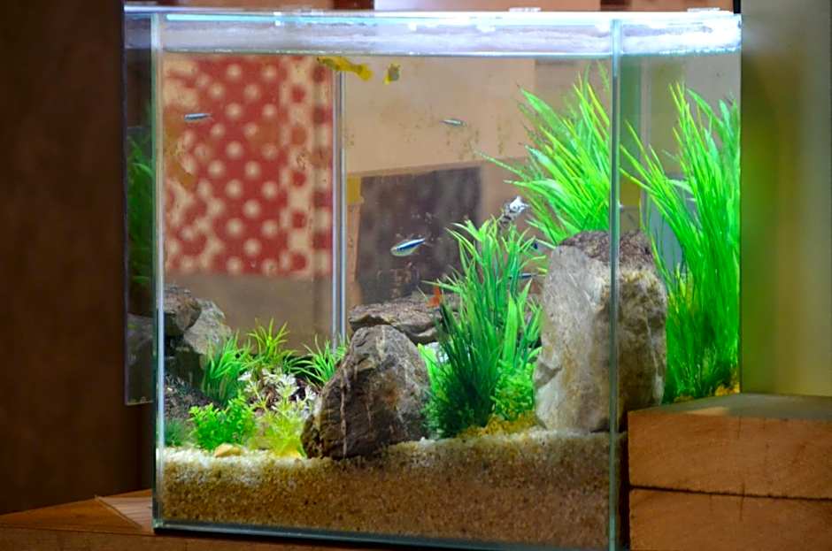 ibis budget Rouen Nord Isneauville