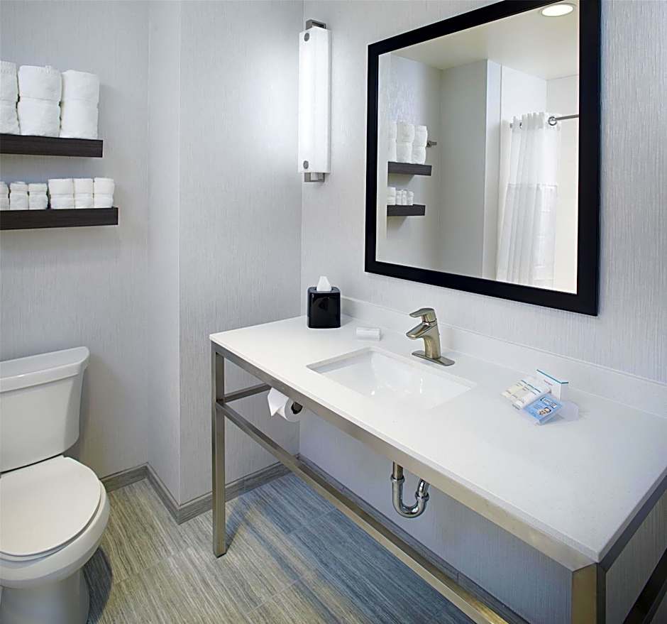 Hilton Garden Inn Dallas/Arlington South