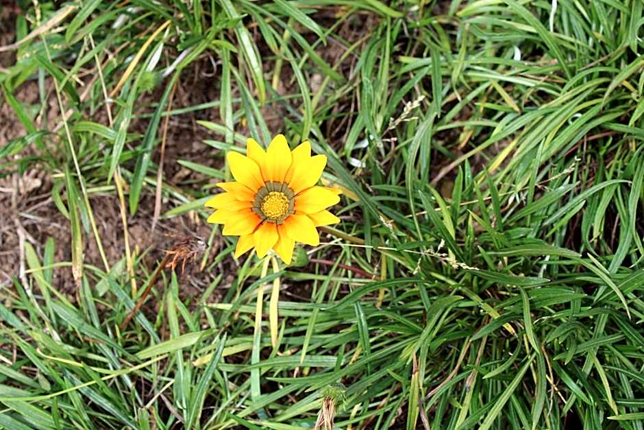 Casa Aconchegante no Capivari