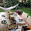 La Pedica B&B