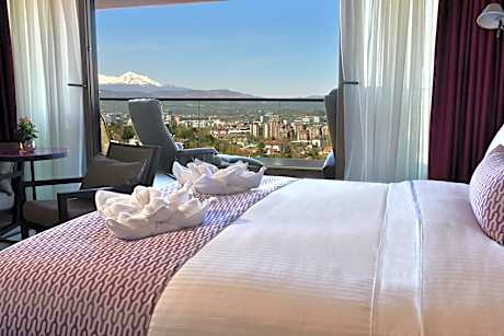 Senior Suite with City View