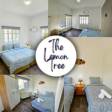 The Lemon Tree Hostel