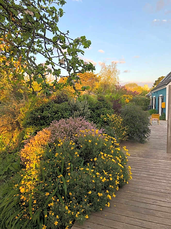 Les Chambres d'Hôtes de Bordustard