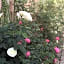 Rose Garden Mezzanine