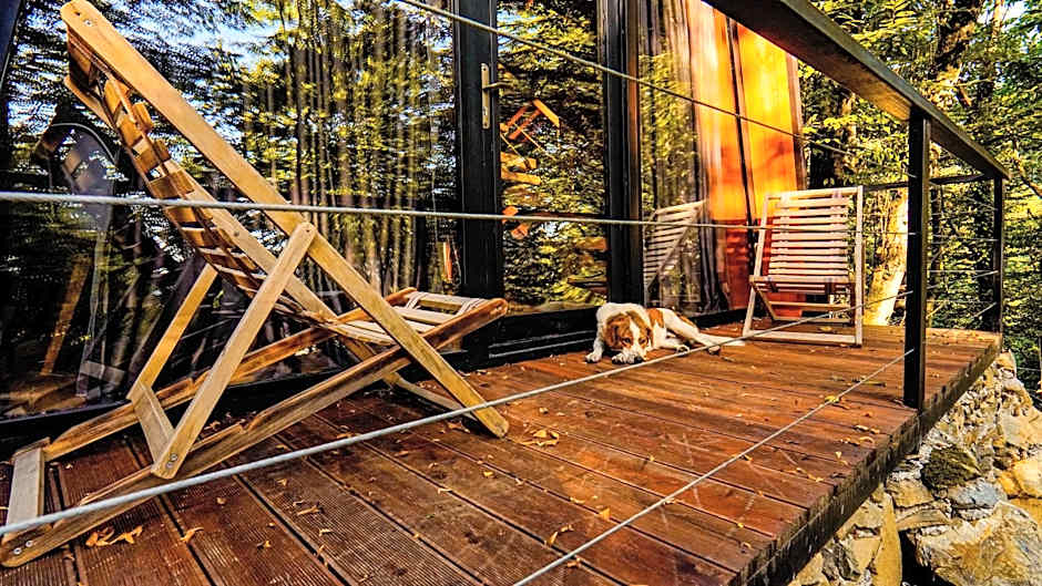 Eco Village In The Forest