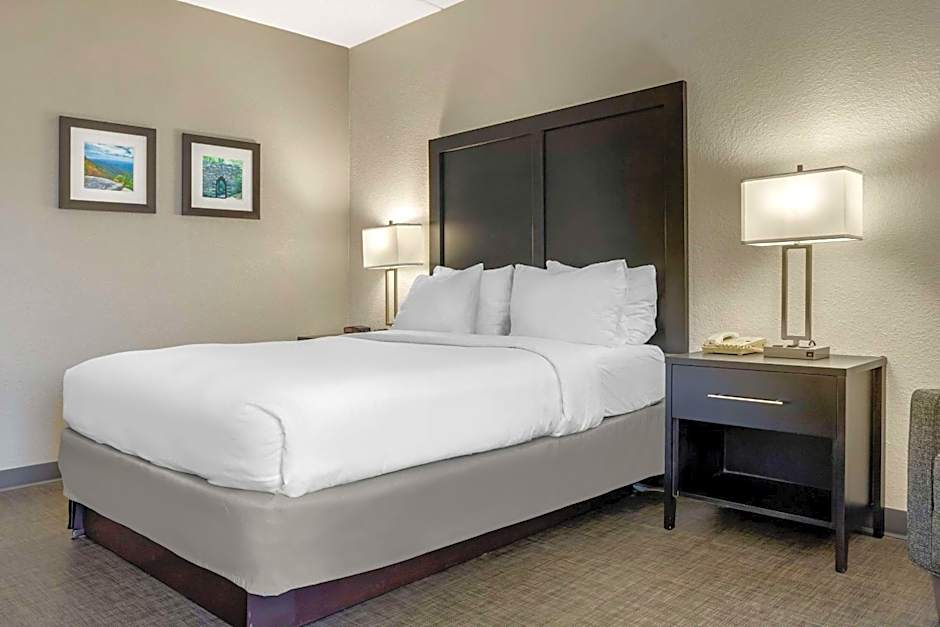 Comfort Inn & Suites Greer - Greenville