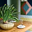 Avalon Hotel Beverly Hills, a Member of Design Hotels