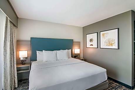 King Room - Accessible/Non-Smoking