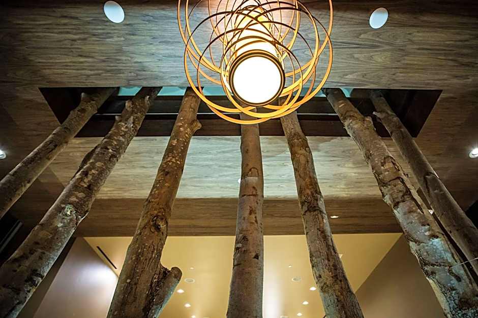 Homewood Suites By Hilton Charlotte Ballantyne Area