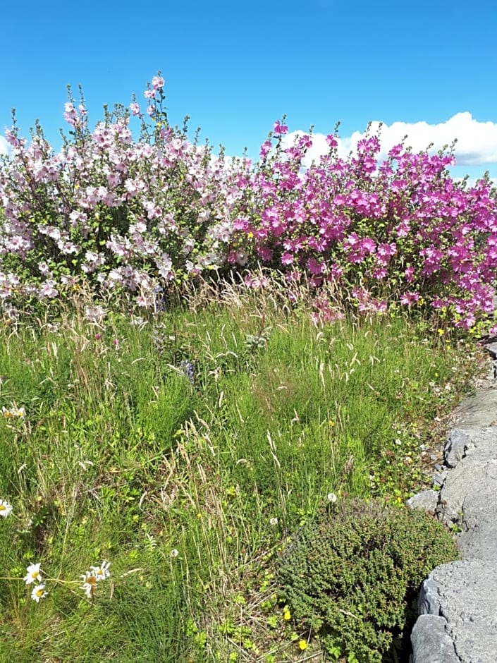 Tullaleagan Guesthouse