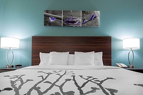 King Room - Accessible/Non-Smoking