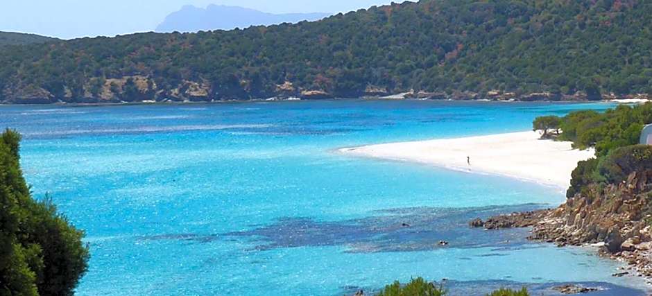 Apartment on the sea