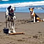 Port Waikato Holiday Park