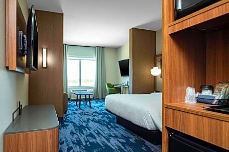 Suite, 1 King Bed with Sofa bed, City View (Mobility Accessible, Roll-In Shower)