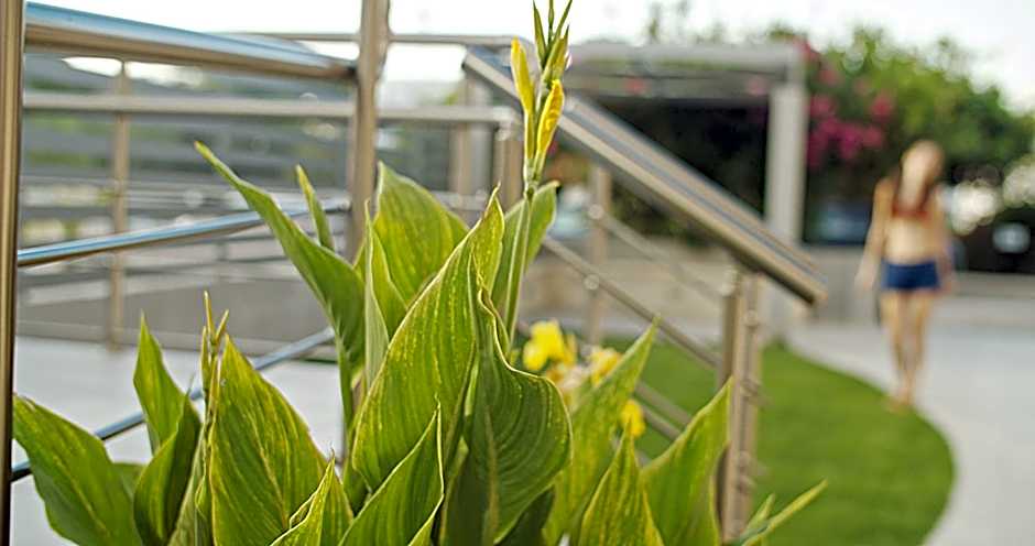 Waterlily Hotel Apartments