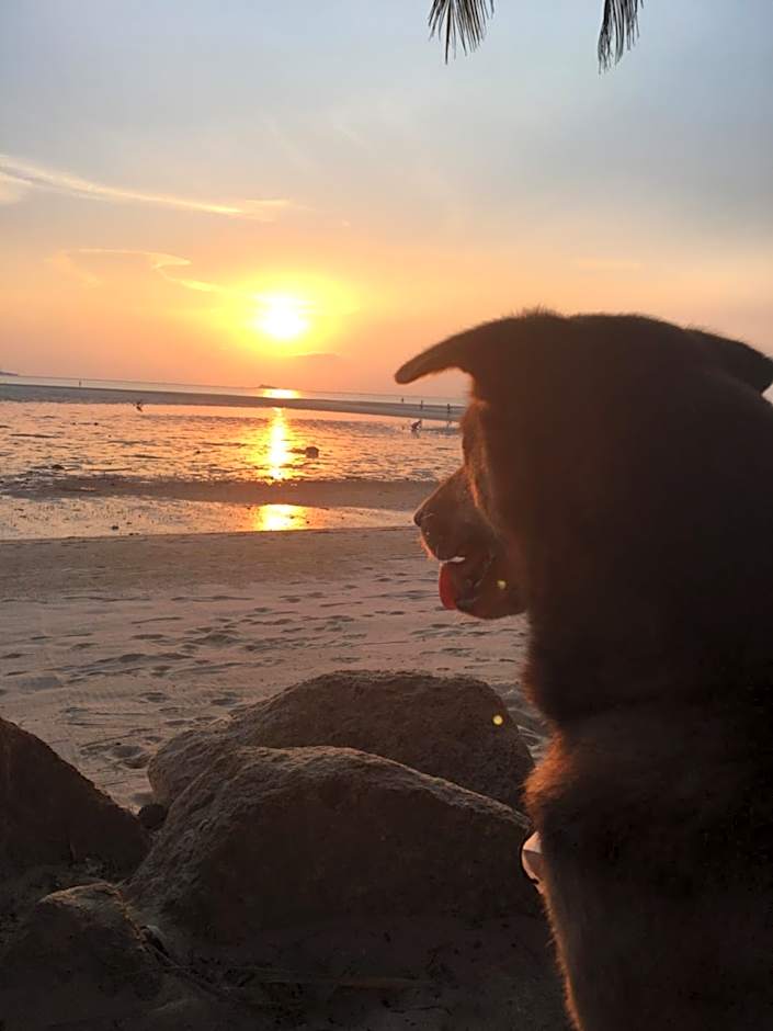 Castaway Beach Bungalows