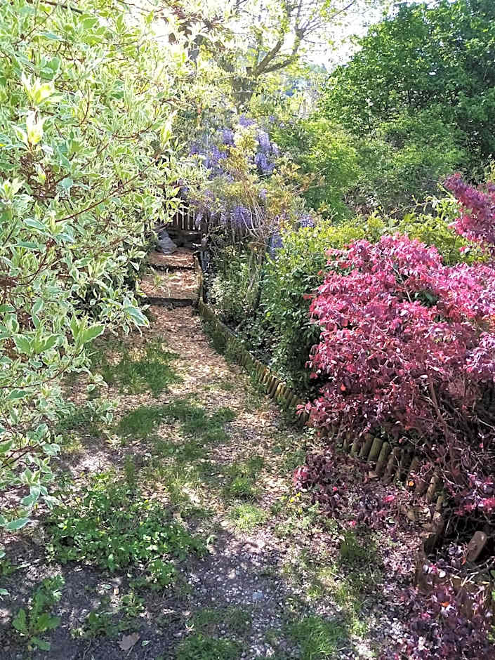 Chambre d'Hôtes La Marlotte