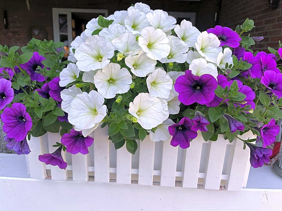 Friesen-Lodge Apartments