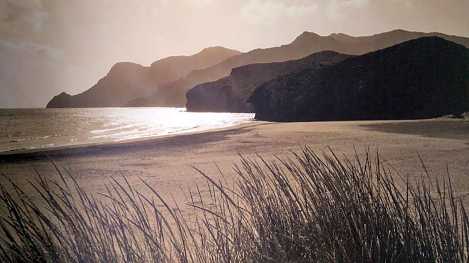 Driftwood B&B Weymouth