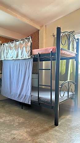 Bed in 4-Bed Dormitory Room