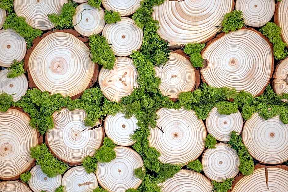 Apartamenty Góralskie Zakopane