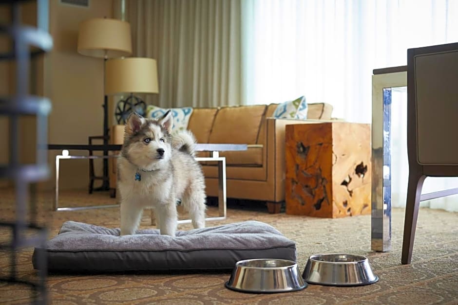 Denver Marriott Westminster