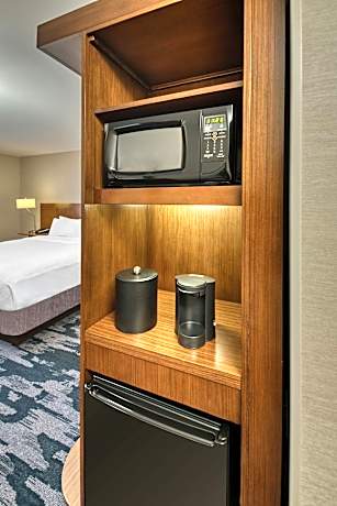 One-Bedroom Queen Suite with Sofa Bed