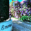 Modern Palace Emma Staete