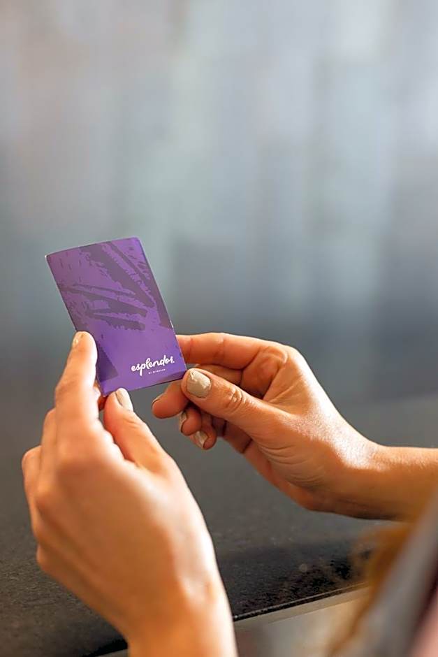 Esplendor by Wyndham Mendoza