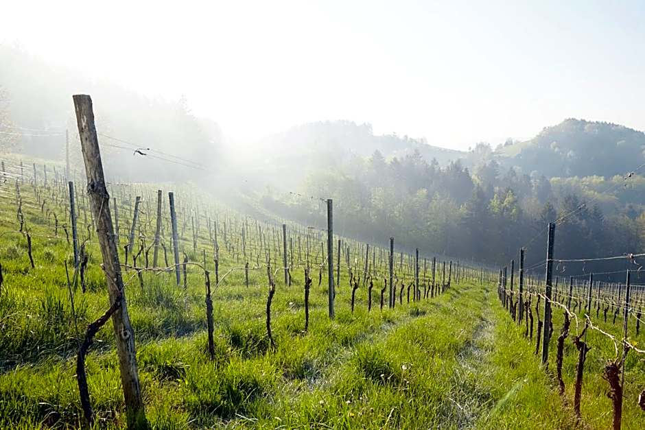 WURZENBERG Hotel Lodges Südsteiermark