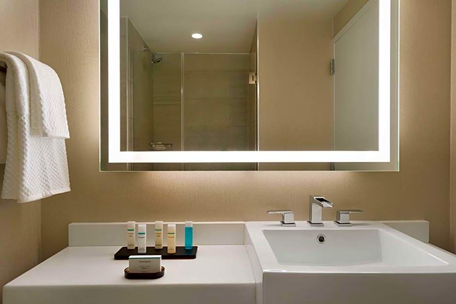 Embassy Suites By Hilton New York Midtown Manhattan