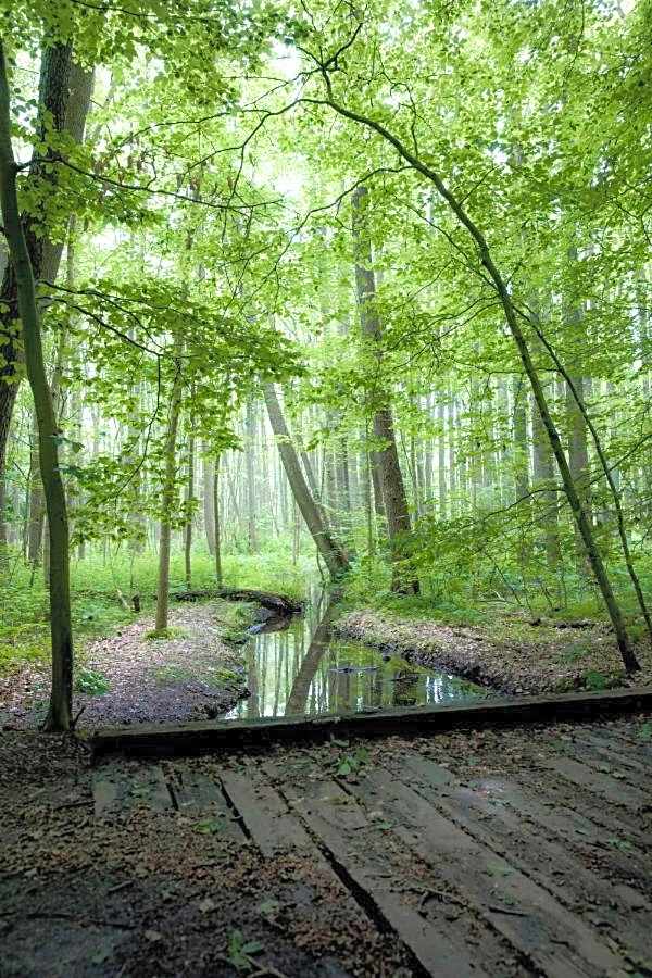 Forsthaus Heiligenberg