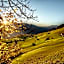 Park Hotel Sonnenhof - Relais & Châteaux