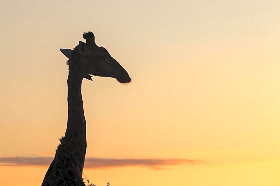 Xanatseni Private Camp