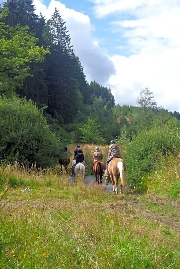 B&B Au fil des saisons sur la Wiels