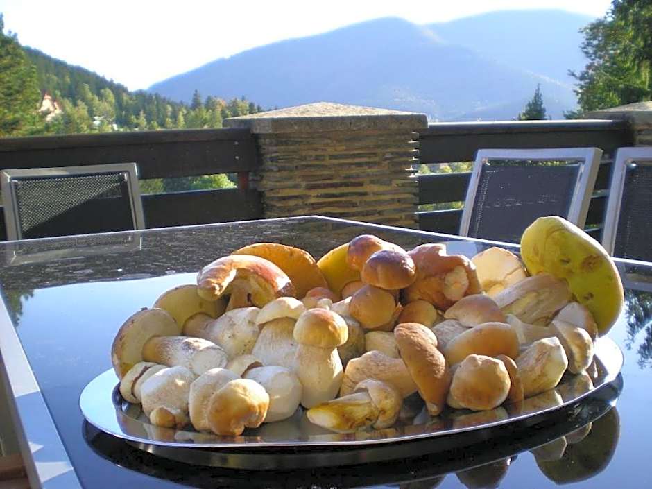 Hotel Ondras z Beskyd