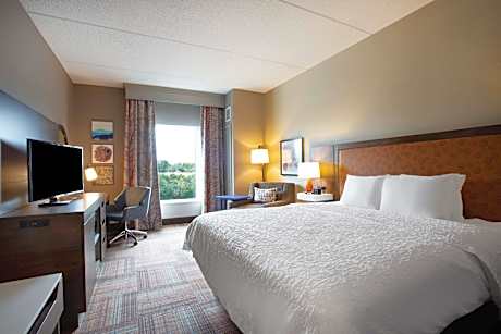 1 King Bed With Fridge/Microwave Nonsmoking