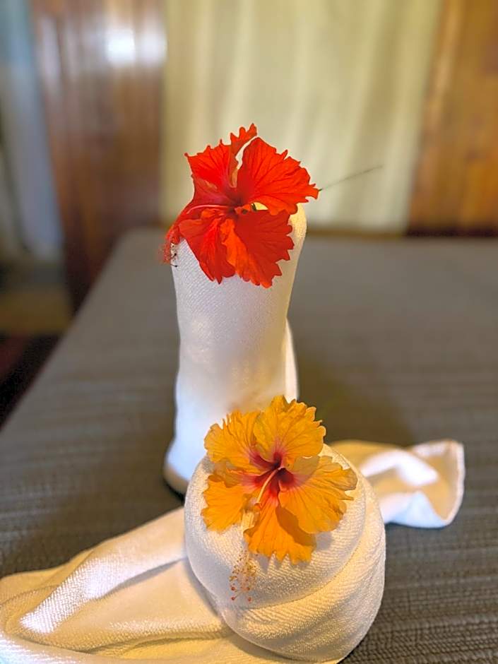 Hotel La Isla Inn